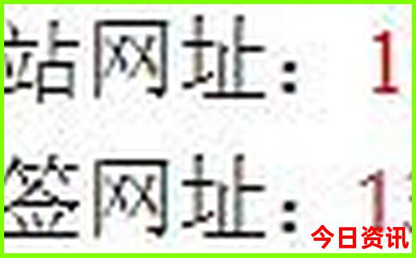 沙面附近有什么好玩的景点